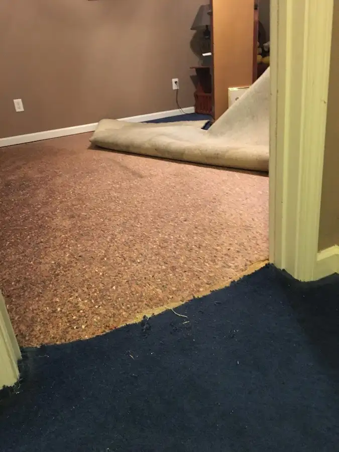 Carpet pad removal revealing water damage during Water Mitigation Services in Lake Holiday