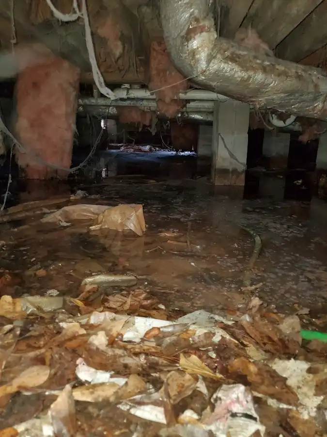 Crawl space flood assessment for Commercial Water Damage Restoration in Lake Holiday